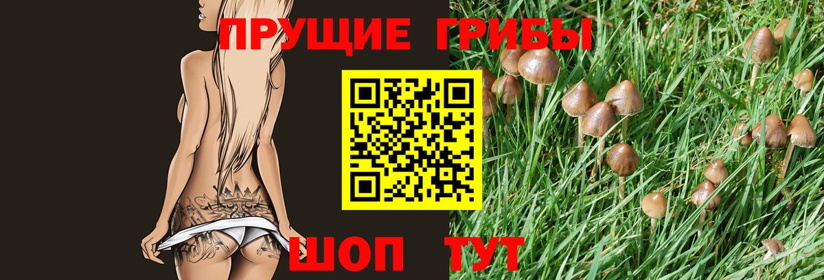 Галлюциногенные грибы Cubensis Нальчик