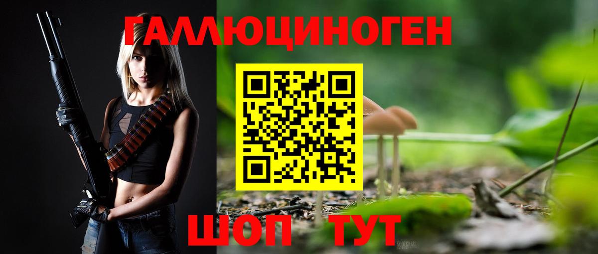 Галлюциногенные грибы Psilocybe  Вход с VPN  Псилоцибиновые грибы GOLDEN TEACHER  Нальчик 
